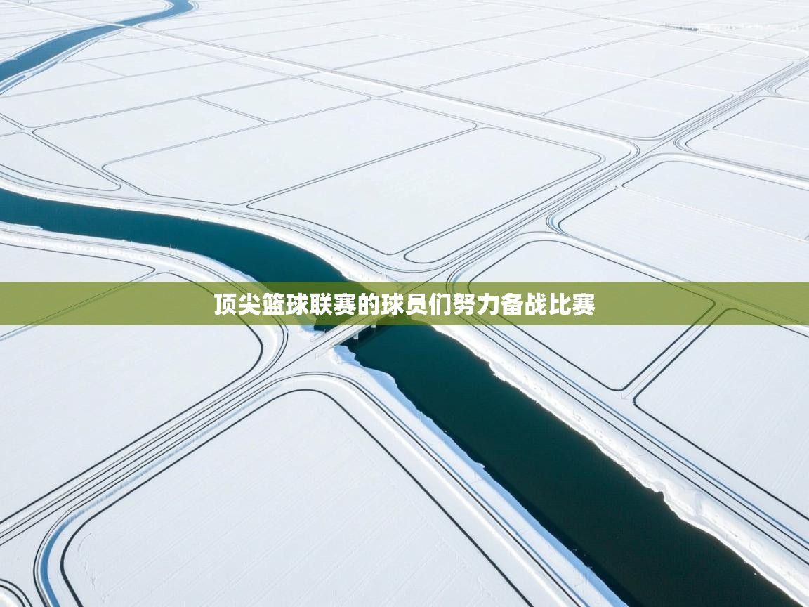 顶尖篮球联赛的球员们努力备战比赛